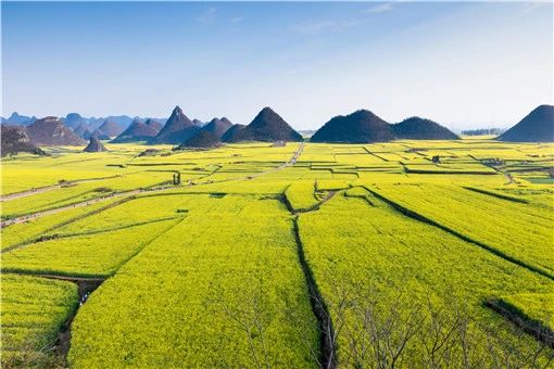 土地流轉補償相關(guān)政策2021-攝圖網(wǎng)