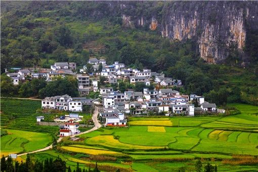 土地流轉補償相關(guān)政策2021-攝圖網(wǎng)